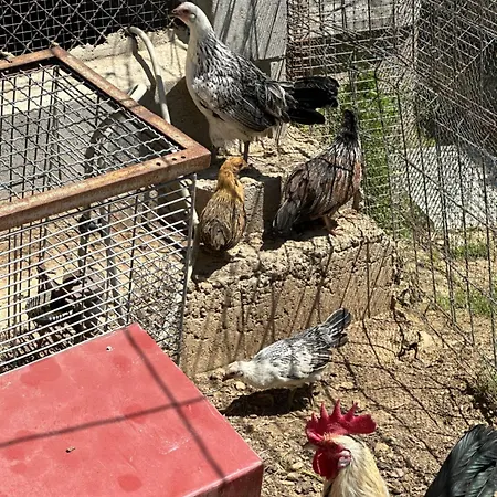 Apartamento Casa Curillas