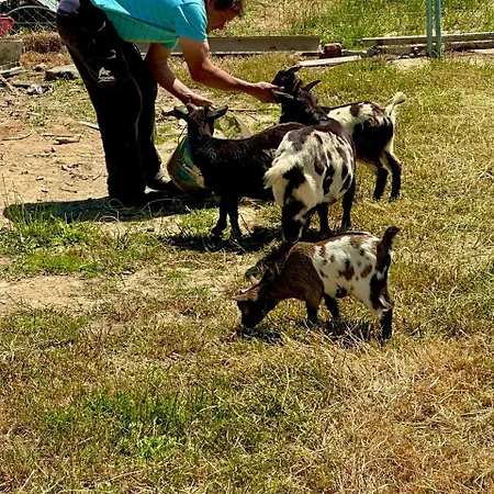 Apartamento Casa Curillas